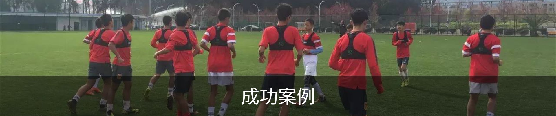 成功案例